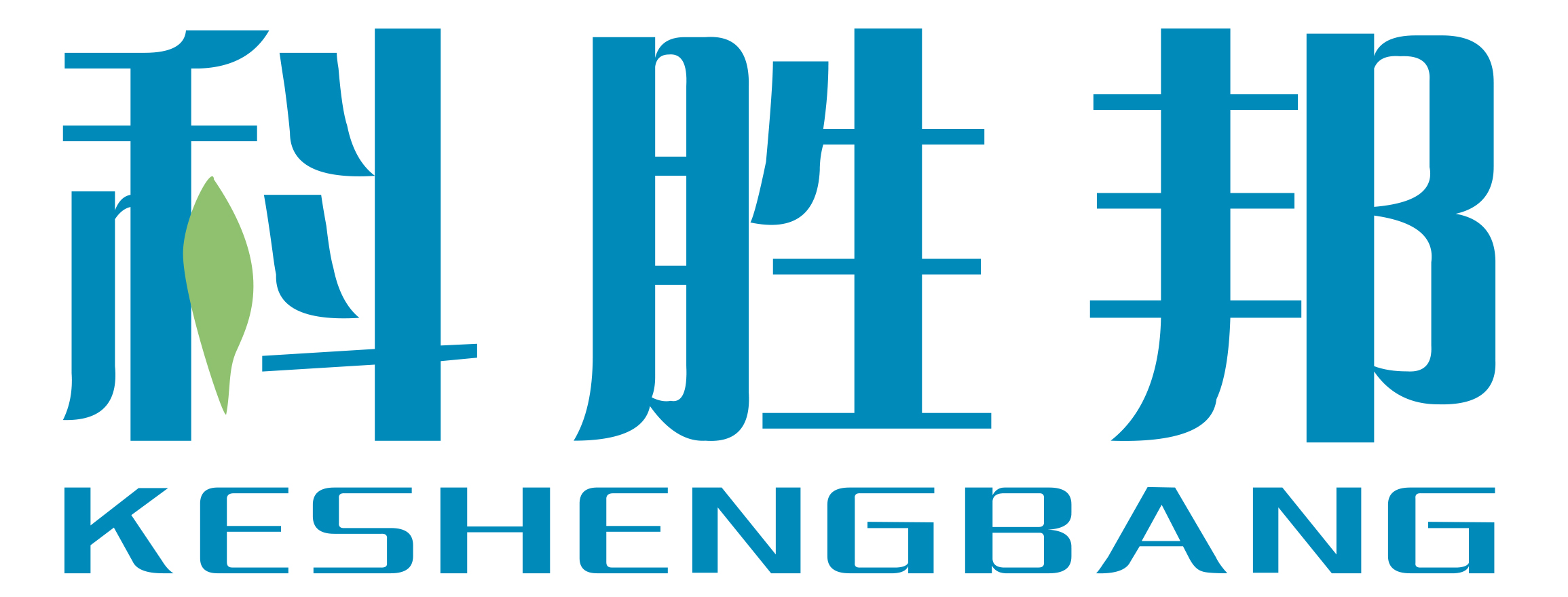 发展历程