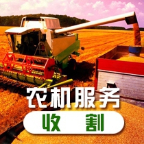 小麦收割  机械服务