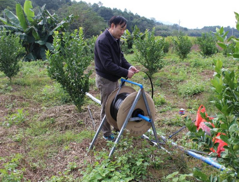 柑橘种植案例