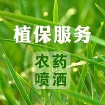 无人机喷洒服务
